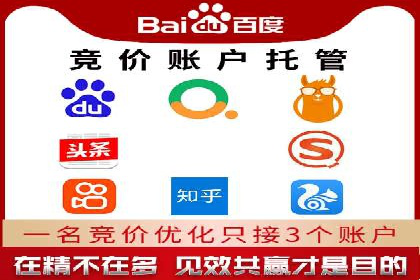 行业专家解析SEM代运营成功案例